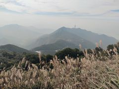 -梧桐山风景名胜区