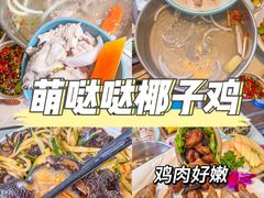 -椰梦长廊