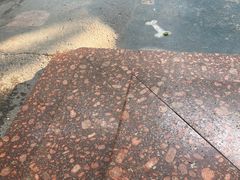 -翊宠yipet猫狗购宠庄园犬舍•猫舍