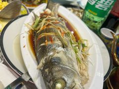 -清真马家美食城•海鲜•青岛菜•火锅(延安三路店)