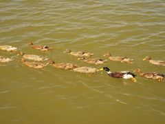 -野鸭湖国家湿地公园