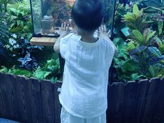 -海合安成都极地海洋公园