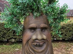 -森波拉奇妙世界