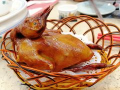 乳鸽-点都德(龙之梦店)