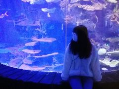 -多彩贵州城极地海洋世界