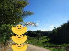 -乌石村