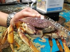 -盒马鲜生(皇庭广场店)