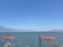 -野菌皇海景野生菌火锅(滨海大道店)