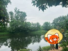 -苏记溪河鲢鱼庄(天府新区店)