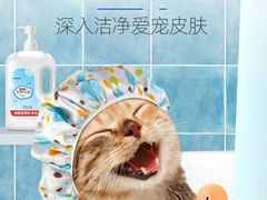 -袖虎·猫馆(体育西路店)