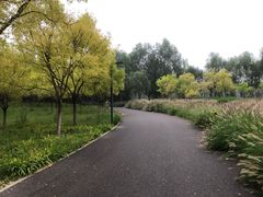 -东郊湿地公园