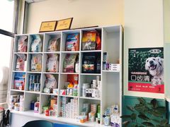 -佳怡动物医院·平价24小时·猫专科骨外科