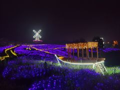 -大塘金香草谷