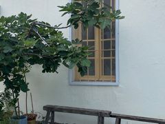 -春风十里咖啡馆