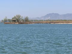 -野鸭湖国家湿地公园