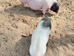 -南戴河国际娱乐中心