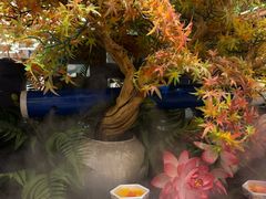 -焰江山海鲜牛排烤肉自助(锦华万达二星店)