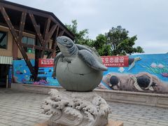 -广东惠东海龟国家级自然保护区