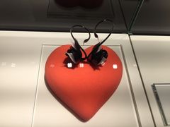 -BLACKSWAN黑天鹅(环球店)