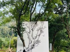 -莲花山公园