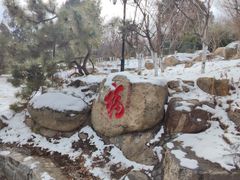 -泰山风景名胜区-虎山公园