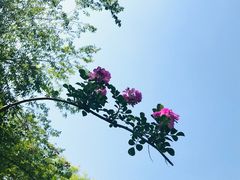 -白鹭湾湿地公园