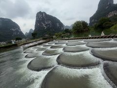-明仕田园
