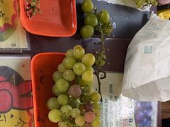 -马陆小张葡萄园农家乐