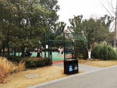 -九科绿洲