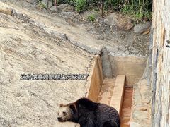 -云南野生动物园