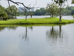 -松山湖风景区松湖烟雨