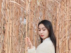 -大塘金香草谷