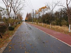 -上海长兴岛郊野公园