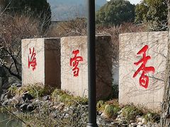 -香雪海
