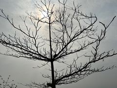 -深圳湾公园(南山区)