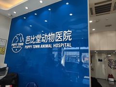 -芭比堂动物医院·CT·微创中心(新顺分院)