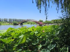 -白洋淀风景区
