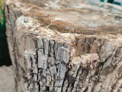 -延庆地质公园博物馆