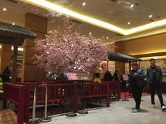 -大江户·温泉洗浴(浑南店)