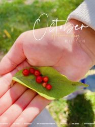 -Oasis Beauty水磨坊科技美肤中心