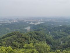 -大屏嶂森林公园