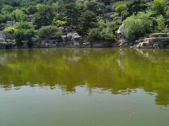 -北京西山国家森林公园