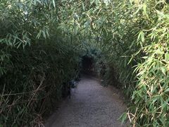 -莫内艺术岛海景咖啡