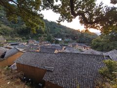 -杨家堂村