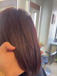 -镁连社·美联社