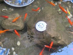 wKgB4lI4bxeAV69EAAcRlwbvpa483.groupinfo.w600-伽蓝殿民宿