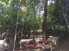 -安飞驰驾校·学车连锁(金高店)