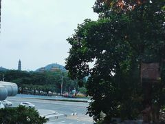 -顺德美的万豪酒店-万豪中餐厅