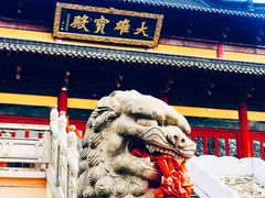 -东台西溪天仙缘景区
