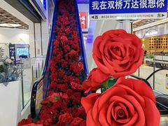 -福成自助烤肉(双桥万达店)